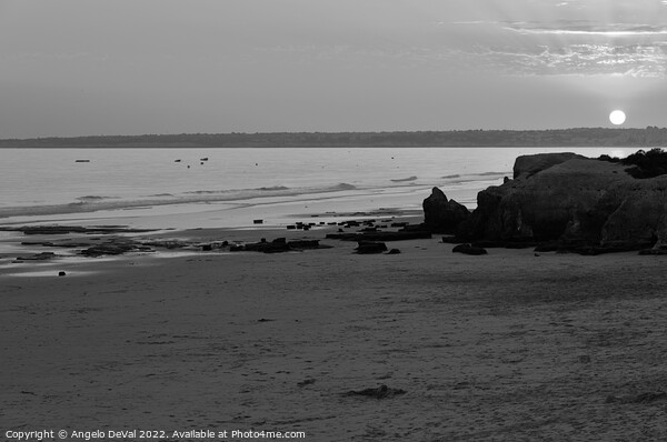 Sunset in Gale Beach - Monochrome  Picture Board by Angelo DeVal