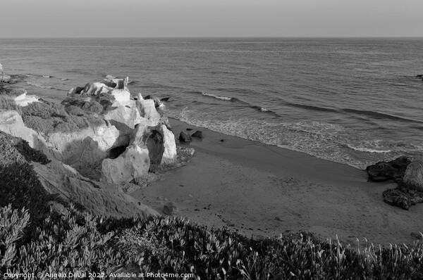 Over the Cliffs of Gale Beach in Monochrome Picture Board by Angelo DeVal