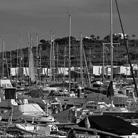 Buy canvas prints of Albufeira Marina Boats in Monochrome  by Angelo DeVal