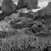 Buy canvas prints of Nature of Gale Beach in Monochrome by Angelo DeVal