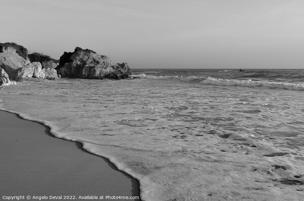 Quiet Waves in Gale Beach - Monochrome Picture Board by Angelo DeVal