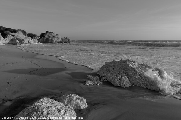 Low Tides in Gale Beach - Monochrome Picture Board by Angelo DeVal