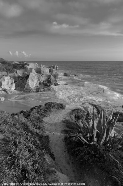 View of Gale Over Cliffs - Monochrome Picture Board by Angelo DeVal