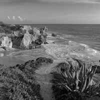 Buy canvas prints of View of Gale Over Cliffs - Monochrome by Angelo DeVal