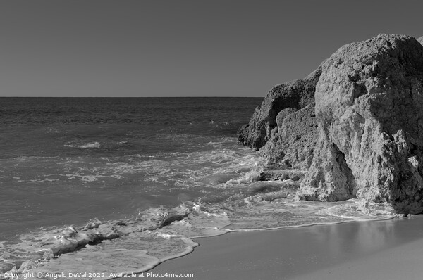 Cliffs and Calm Waves in Gale Beach - Monochrome Picture Board by Angelo DeVal