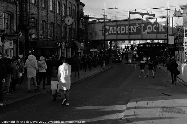 Camden Lock in London - Monochrome Picture Board by Angelo DeVal
