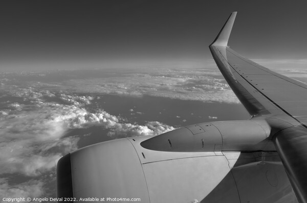 Airplane Wing from Window - Monochrome Picture Board by Angelo DeVal