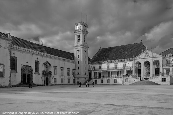 Coimbra University in Portugal - Monochrome Picture Board by Angelo DeVal