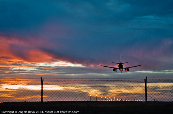 Twilight Landing at Faro Airport - Algarve Picture Board by Angelo DeVal