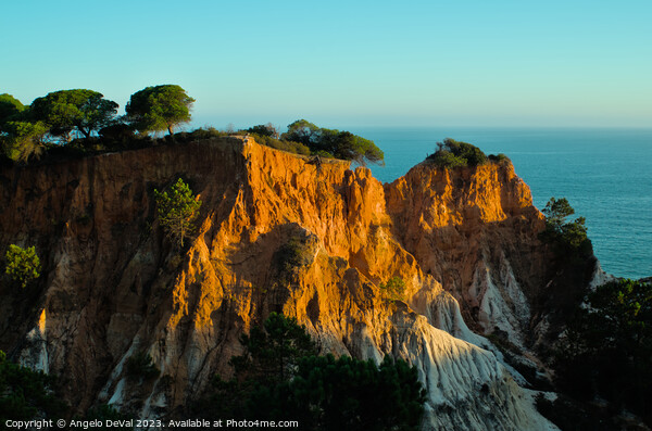 Sea and Sunbathing Cliffs in Algarve Picture Board by Angelo DeVal