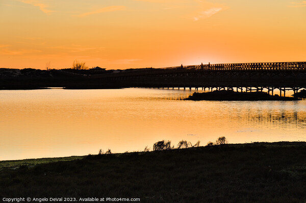 Wooden bridge of Quinta do Lago at Sunset Time Picture Board by Angelo DeVal