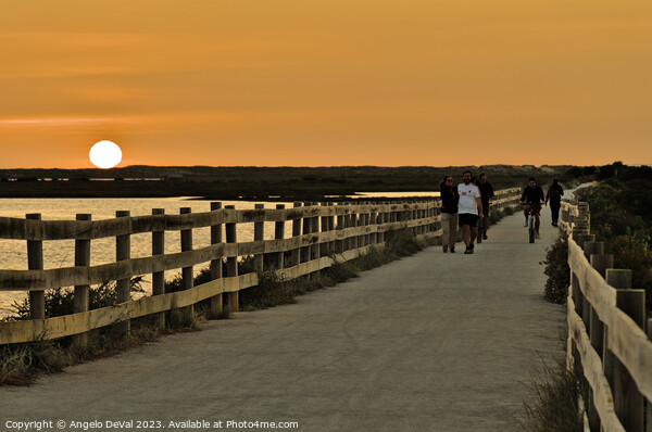 Sunset by Salinas Path in Faro Picture Board by Angelo DeVal