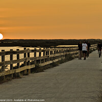 Buy canvas prints of Sunset by Salinas Path in Faro by Angelo DeVal