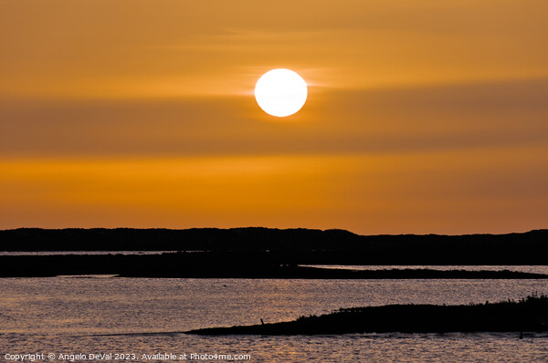 Warm Sunset in Ria Formosa - Faro Picture Board by Angelo DeVal