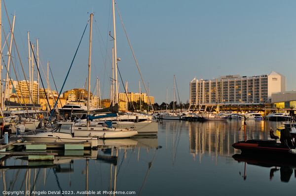 Vilamoura Marina at the End of the Day Picture Board by Angelo DeVal