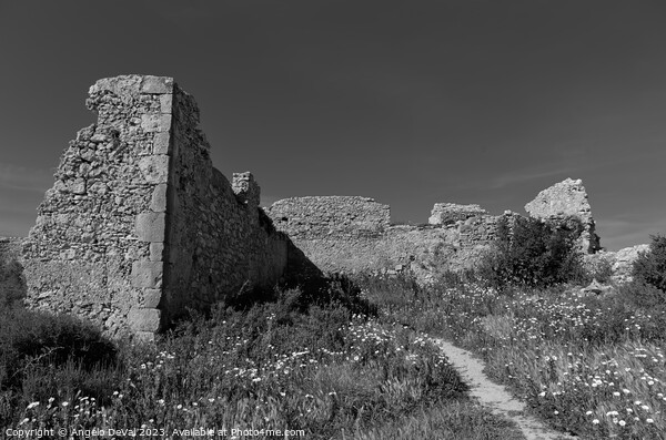 Almadena Fort Ruins in Salema - Algarve Picture Board by Angelo DeVal