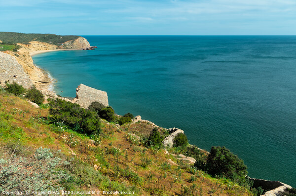 Almadena Fort View in Salema - Algarve Picture Board by Angelo DeVal