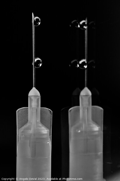 Syringe Reflection in Monochrome Picture Board by Angelo DeVal