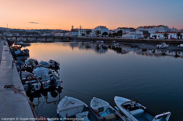 Tranquil Dusk Reflections in Tavira Picture Board by Angelo DeVal