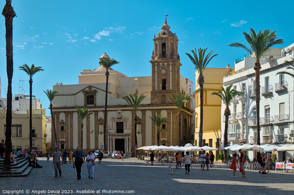 Cathedral Square in Cadiz Picture Board by Angelo DeVal