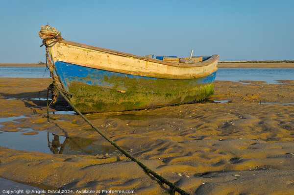 Old Wooden Fishing Boat in Algarve Picture Board by Angelo DeVal