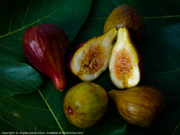 Sweet Figs on Leaves Picture Board by Angelo DeVal