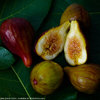 Buy canvas prints of Sweet Figs on Leaves by Angelo DeVal