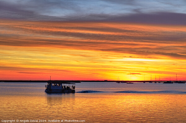 Boat and the Ria Formosa Sunset Picture Board by Angelo DeVal