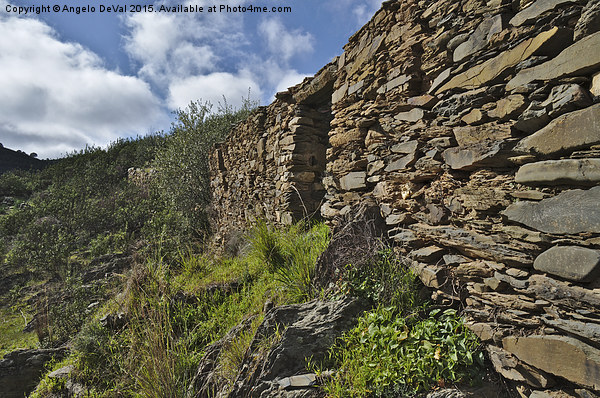 Ruins of a schist cottage in Alentejo  Picture Board by Angelo DeVal