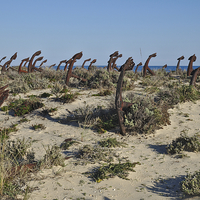 Buy canvas prints of Anchor cemetery in Praia do Barril  by Angelo DeVal