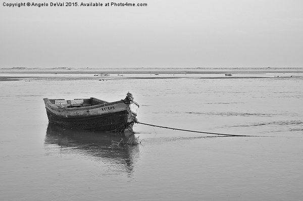 Fishing boat resting on the low tide  Picture Board by Angelo DeVal