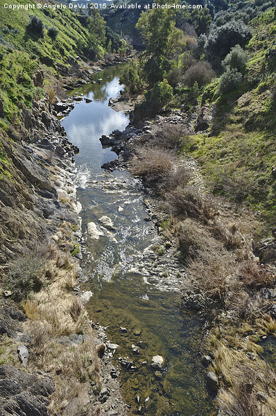 Oeiras Creek stream in Alentejo  Picture Board by Angelo DeVal