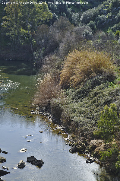 Oeiras Creek and vegetation in Alentejo  Picture Board by Angelo DeVal
