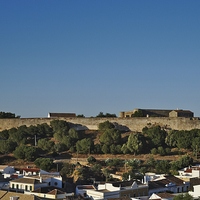 Buy canvas prints of Castle of Castro Marim from the hill  by Angelo DeVal