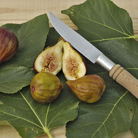 Buy canvas prints of Fresh Figs by Angelo DeVal