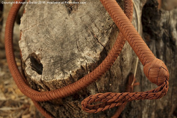 Brown Bullwhip around a tree trunk  Picture Board by Angelo DeVal
