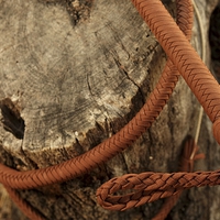 Buy canvas prints of Brown Bullwhip around a tree trunk  by Angelo DeVal