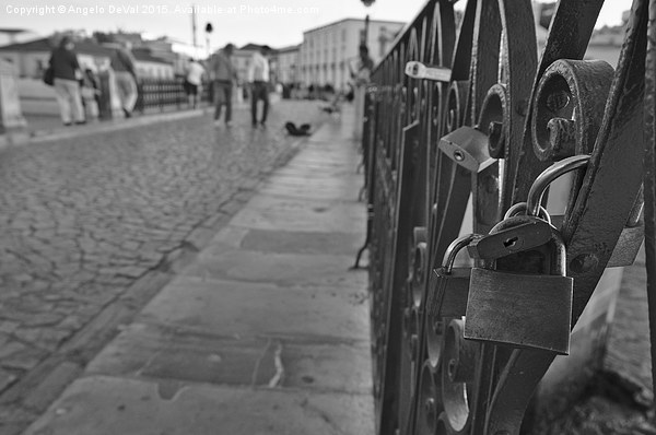 European Love Locks  Picture Board by Angelo DeVal
