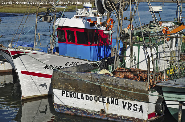 Fishing Ships in Tavira  Picture Board by Angelo DeVal
