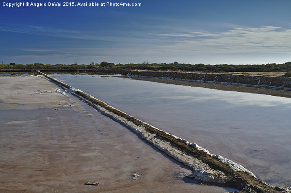 Salt Evaporation Ponds in Algarve Picture Board by Angelo DeVal