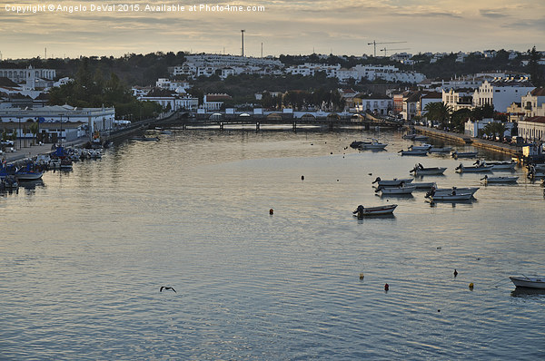 Afternoon in Tavira  Picture Board by Angelo DeVal