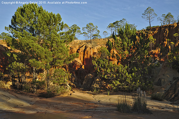 Red Cliffs and Trees  Picture Board by Angelo DeVal