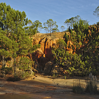 Buy canvas prints of Red Cliffs and Trees  by Angelo DeVal