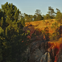 Buy canvas prints of Pine Trees on the Cliffs by Angelo DeVal