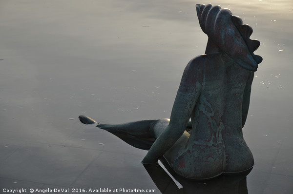 Mermaid bronze statue in the Faro Marina Picture Board by Angelo DeVal