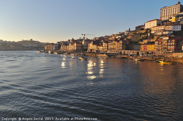 Douro scenery from bridge Picture Board by Angelo DeVal