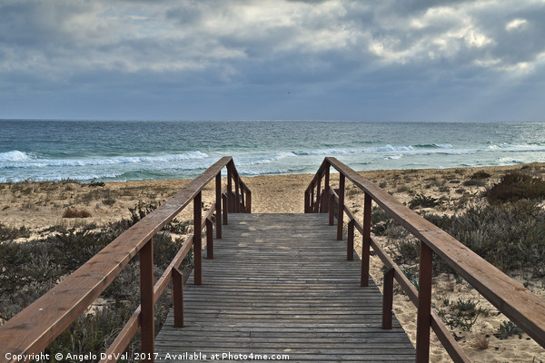 Going to Ilha Deserta in Algarve Picture Board by Angelo DeVal