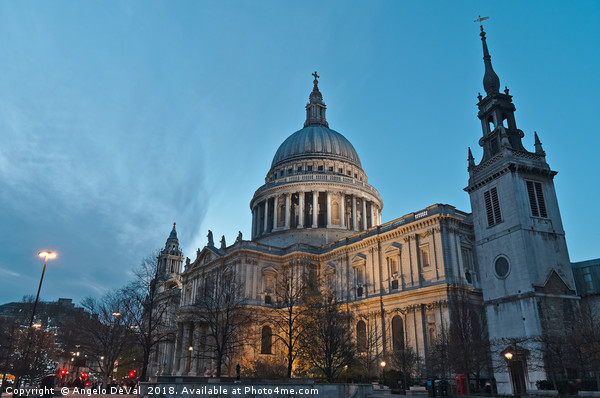 Saint Pauls Cathedral in London Picture Board by Angelo DeVal
