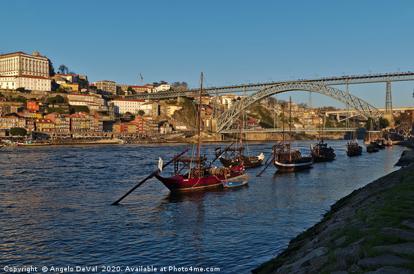 View of Douro river and boats in Porto Picture Board by Angelo DeVal
