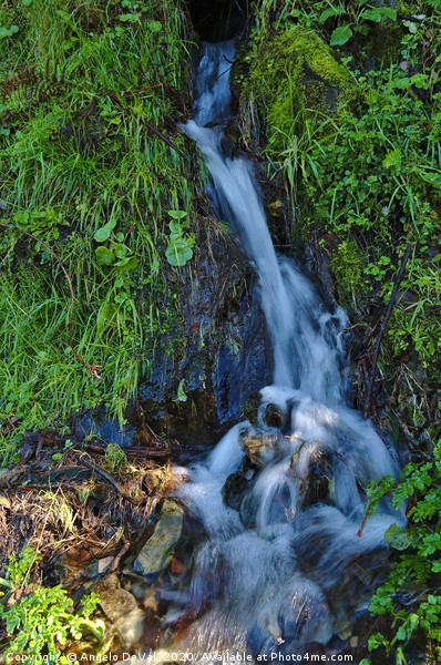 Water spring in Piodao Picture Board by Angelo DeVal